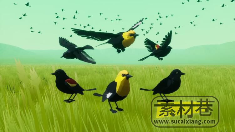 Unreal Engine风格化鸟类动画系统Beefy Blackbirds (Niagara Bird System)