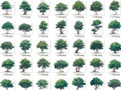 夏天绿色树木卡通手绘风格游戏素材（原创）