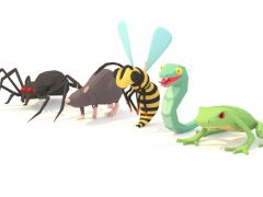 低多边形蜘蛛鼠马蜂蛇青蛙小动物动画模型