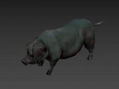 游戏灰色老母猪3D模型