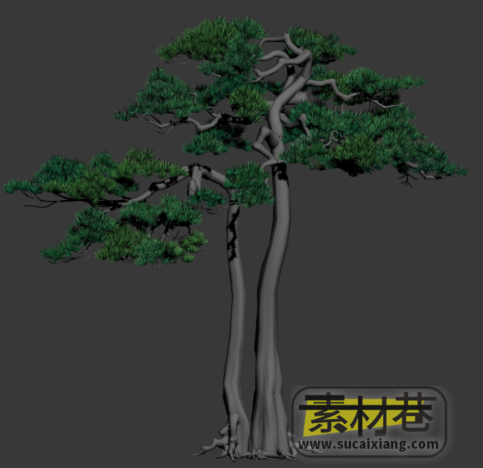 两棵3D松树模型