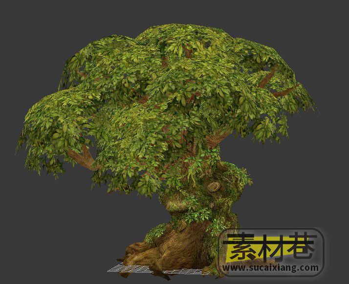 一颗造型古怪的大树3D模型