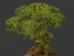 一颗造型古怪的大树3D模型