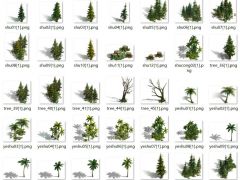 2.5D游戏树木和树林素材