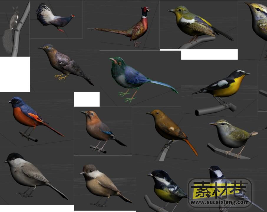 各种飞禽鸟类模型集合