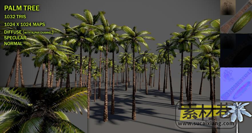 棕榈树模型