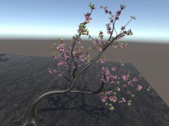 苹果树和桃树3D模型