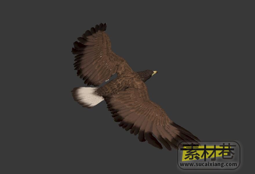 雄鹰3D模型（带骨骼绑定）