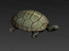 乌龟3D模型