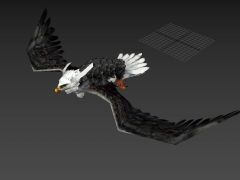 苍鹰动画3D模型(带骨骼绑定)