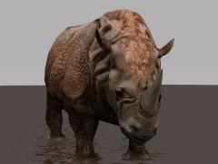 犀牛3D模型