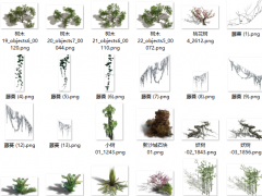 2D树木与藤类植物游戏素材