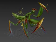 螳螂动作3D模型（带骨骼绑定）