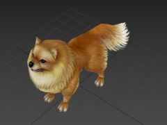 博美宠物狗3D模型