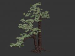 游戏松树3D模型