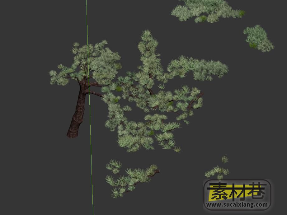 游戏松叶和写实松树3D模型