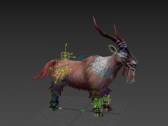 游戏羚羊3D动作模型（带骨骼绑定）