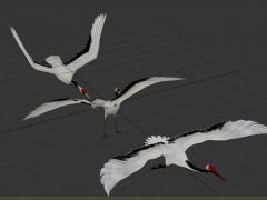 展翅飞翔的仙鹤3D模型