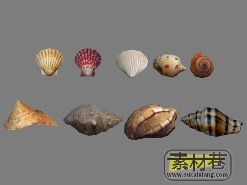 9种海螺贝壳3D模型