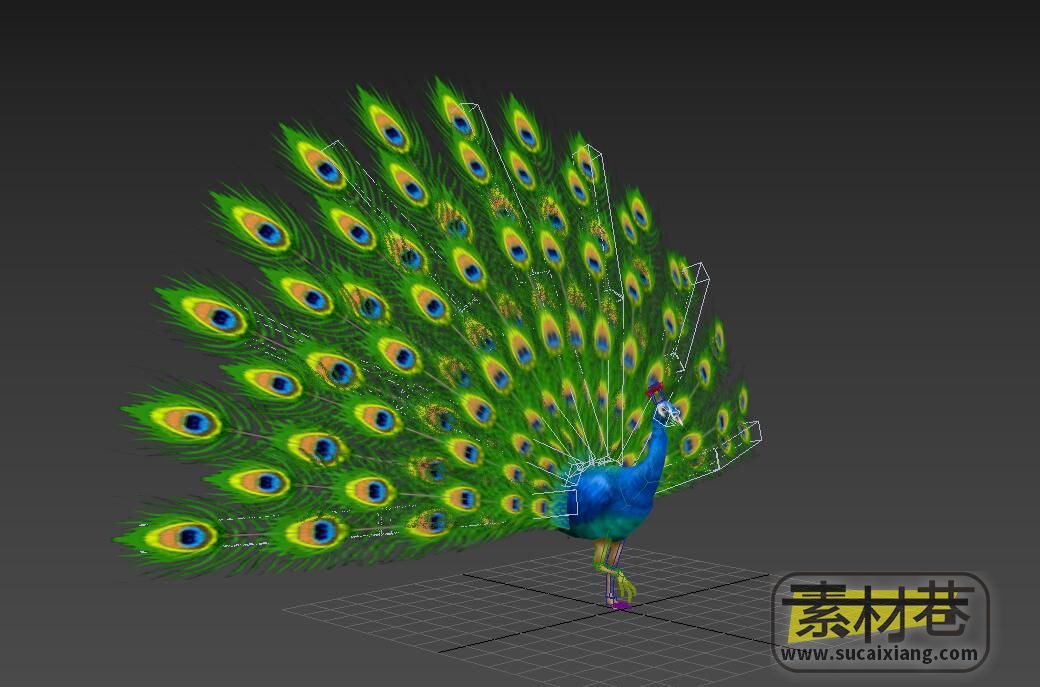 孔雀3D模型（带骨骼绑定）